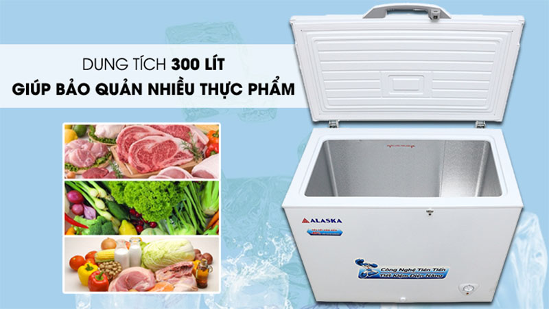 Tủ đông Alaska BD-300 - Hàng chính hãng