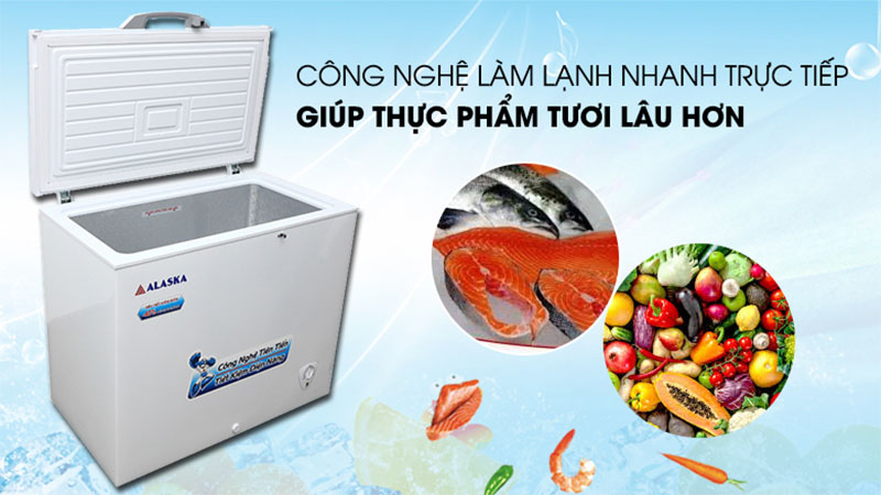 Tủ đông Alaska BD-300 - Hàng chính hãng
