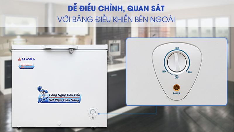 Tủ đông Alaska BD-300 - Hàng chính hãng