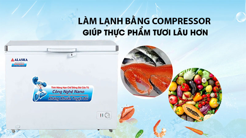 Tủ đông Alaska BD-400 - Hàng chính hãng