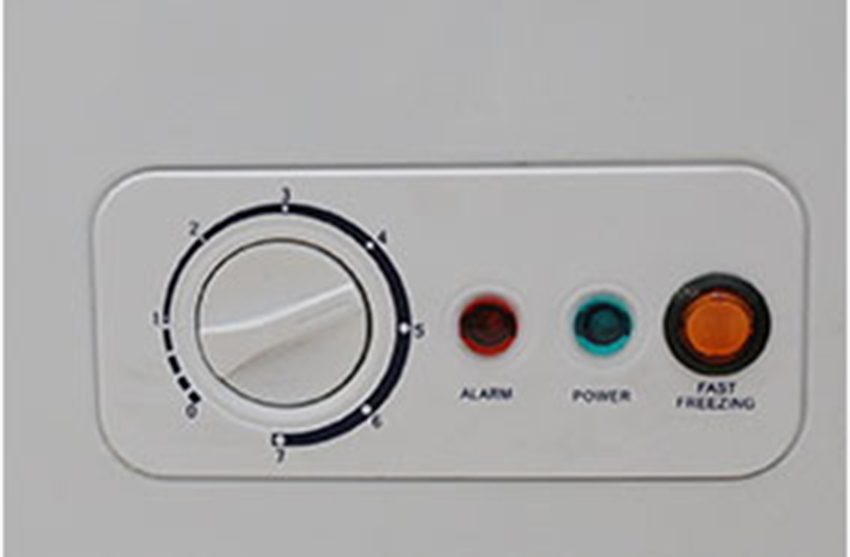 Tủ đông Alaska BD-400C - Hàng chính hãng