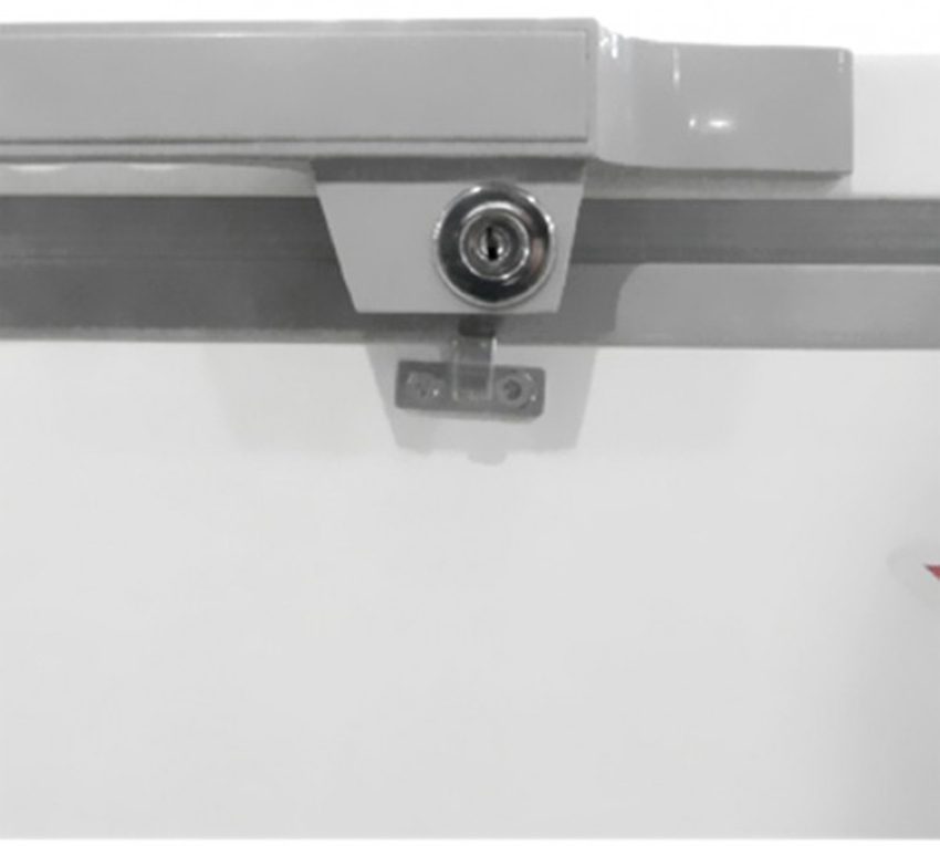 Tủ đông Alaska BD-400C - Hàng chính hãng