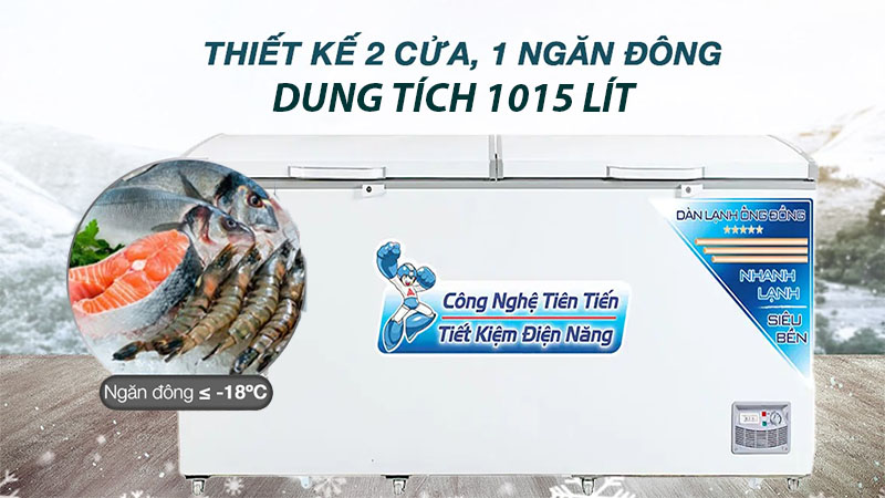 Tủ đông Alaska HB-1200C - Hàng chính hãng