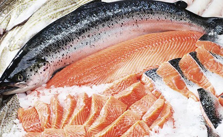 Công dụng của tủ đông Aqua AQF-R390