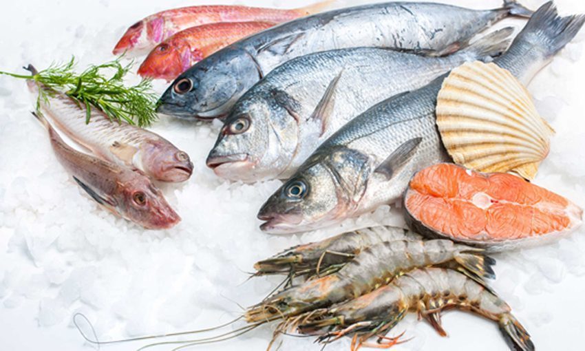 Công dụng của tủ đông Aqua AQF-R490