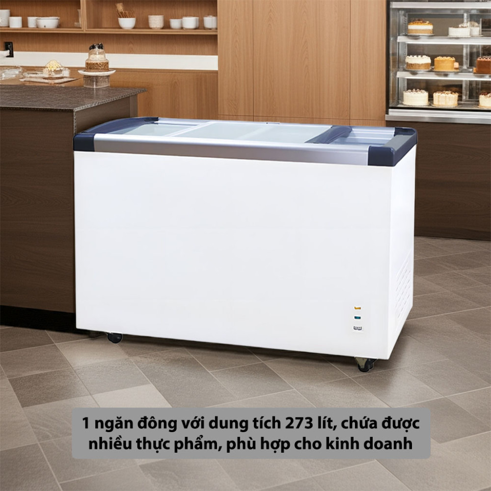 Tủ đông H&C CBSD-320P - Hàng chính hãng