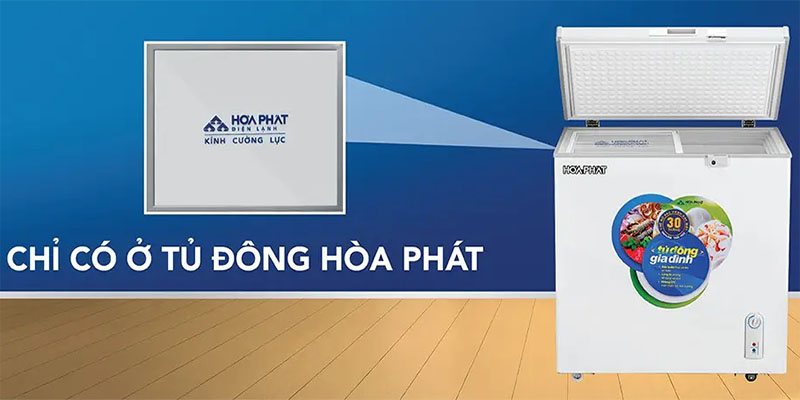 Tủ đông Hòa Phát HCF-336S1Đ1 - Hàng chính hãng