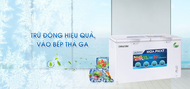 Tủ đông Hòa Phát HCF-606S2PĐ2 - Hàng chính hãng