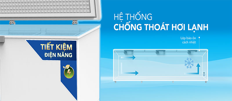 Tủ đông Hòa Phát HPF-AD61190.1 - Hàng chính hãng