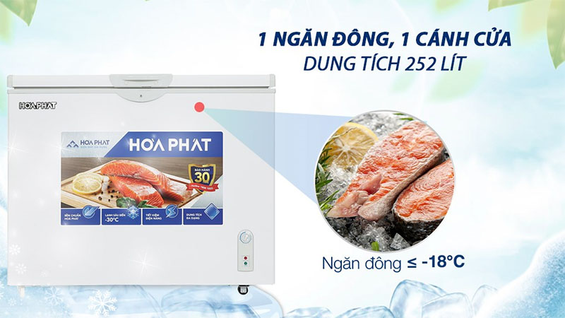 Tủ đông Hòa Phát HPF-AD6252 - Hàng chính hãng