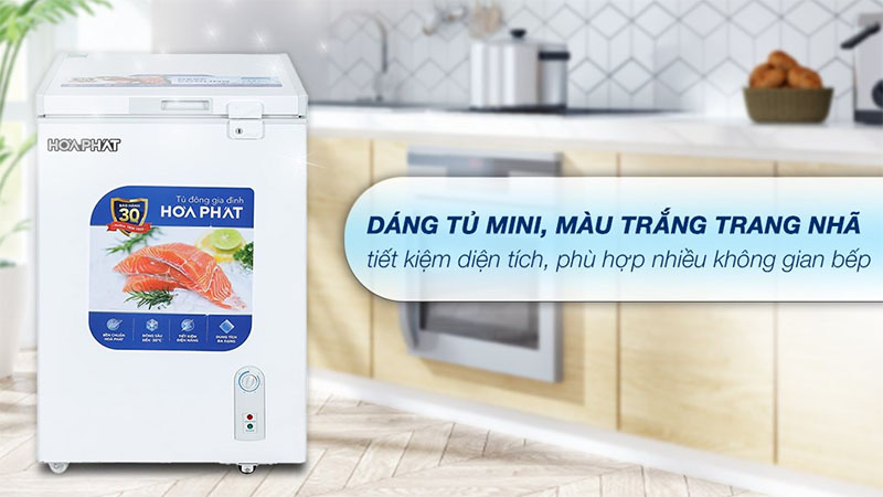 Thiết kế của Tủ đông Hòa Phát HPF-AN6107