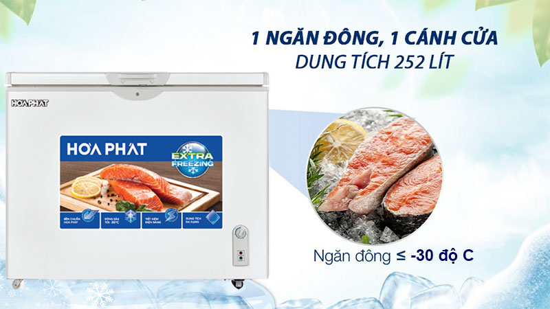 Tủ đông Hòa Phát HPF-AN6252 - Hàng chính hãng