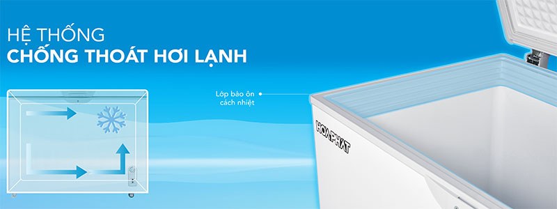 Tủ đông Hòa Phát HPF-AN6252 - Hàng chính hãng