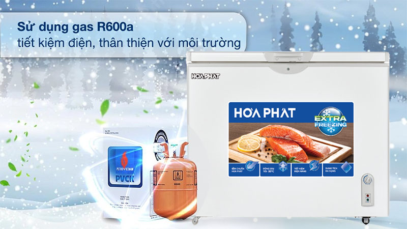 Tủ đông Hòa Phát HPF-AN6252 - Hàng chính hãng