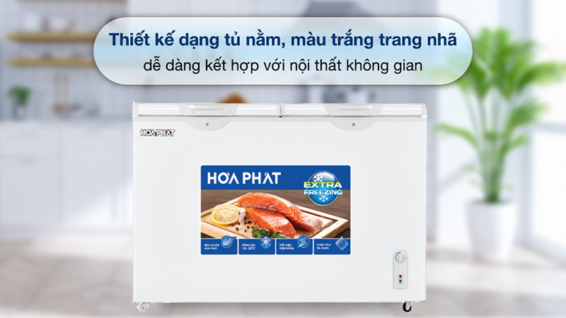 Tủ đông Hòa Phát HPF-AN6352 - Hàng chính hãng