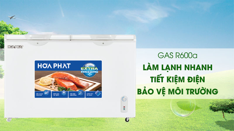 Tủ đông Hòa Phát HPF-AN6352 - Hàng chính hãng