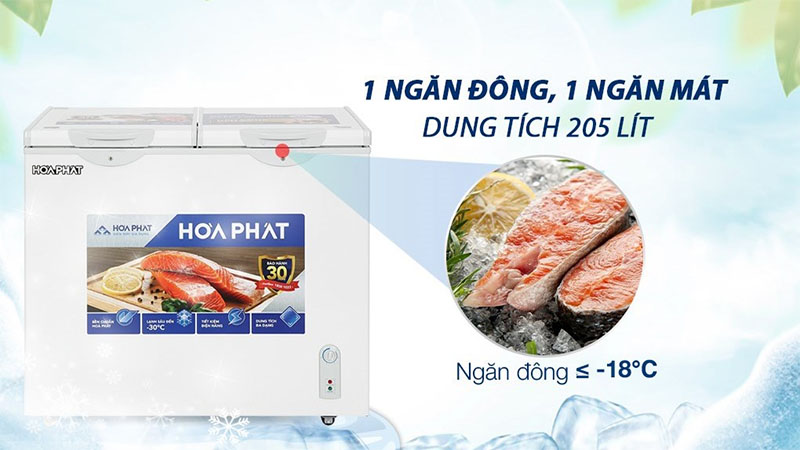 Tủ đông Hòa Phát HPF-BD6205 - Hàng chính hãng