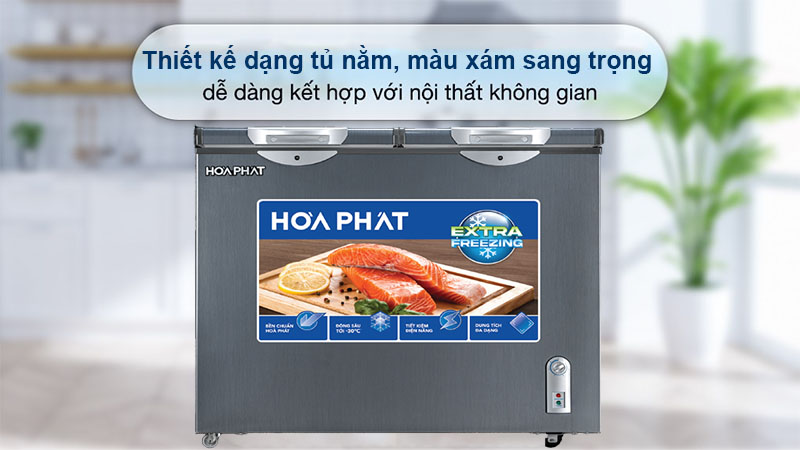 Tủ đông Hòa Phát HPF-BD6205G - Hàng chính hãng