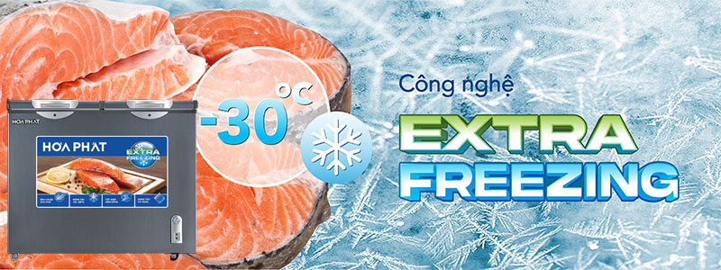 Tủ đông Hòa Phát HPF-BD6205G - Hàng chính hãng