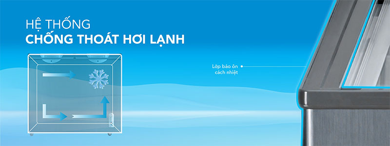 Tủ đông Hòa Phát HPF-BD6205G - Hàng chính hãng