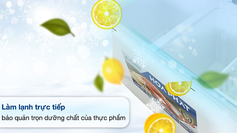 Tủ đông Hòa Phát HPF-BD6271 - Hàng chính hãng