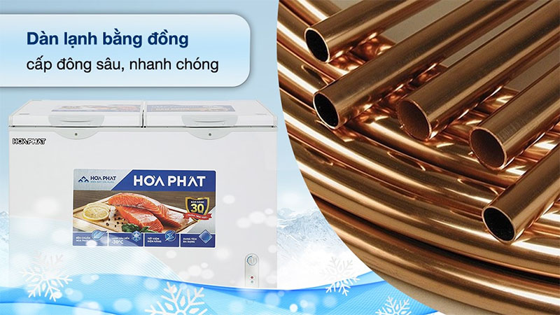 Tủ đông Hòa Phát HPF-BD6271 - Hàng chính hãng