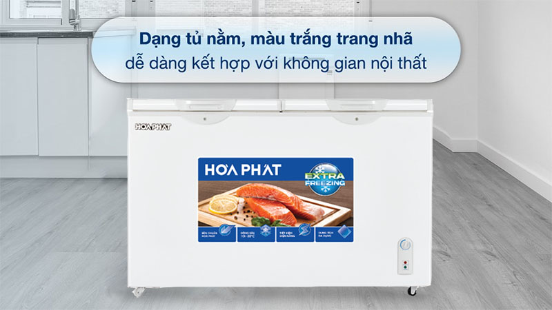 Tủ đông Hòa Phát HPF-BN6205 - Hàng chính hãng