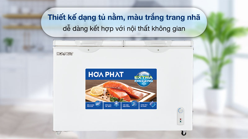 Thiết kế của Tủ đông Hòa Phát HPF-BN6271