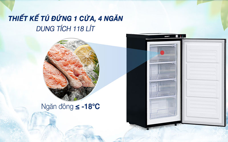 Dung tích của Tủ đông đứng Sanaky VH160K