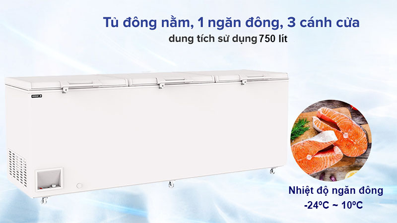 Tủ đông Inverter Sanden SNQ-0805i - Hàng chính hãng