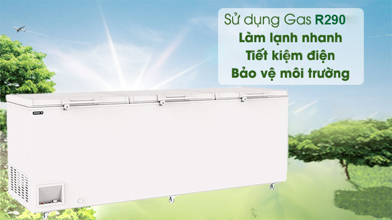 Tủ đông Inverter Sanden SNQ-0805i - Hàng chính hãng