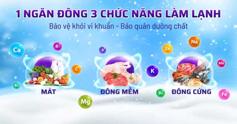 Chức năng của Tủ đông Sanaky VH-1799HY