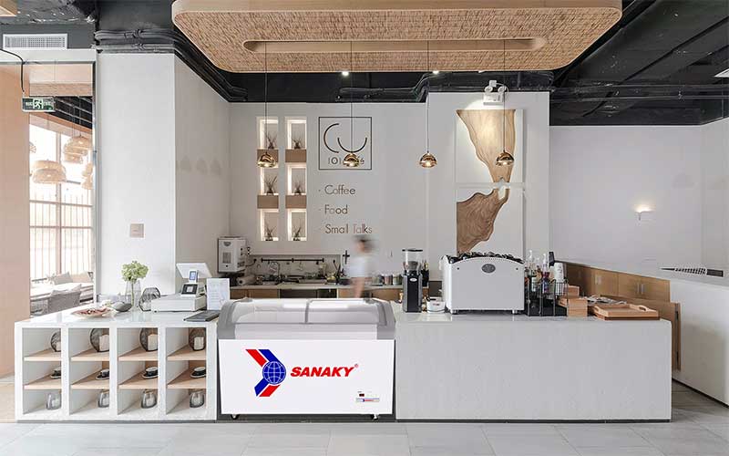 Tủ đông Sanaky VH-382KB - Hàng chính hãng