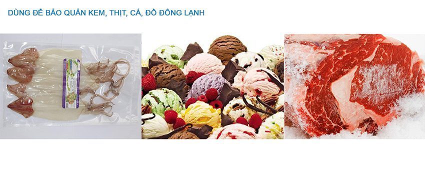 Tủ đông Sanaky VH-405A2 giúp bảo quản kem,...