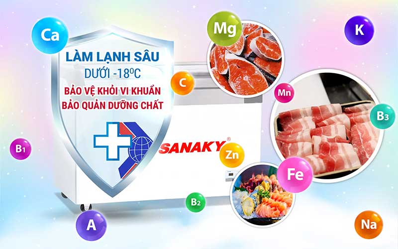 Tủ đông Sanaky VH-482KB - Hàng chính hãng