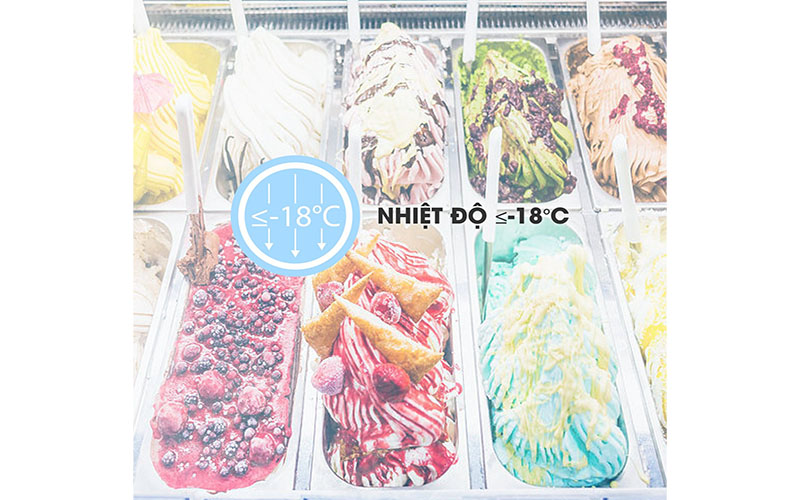 Tủ đông Sanaky VH-4899K - Hàng chính hãng