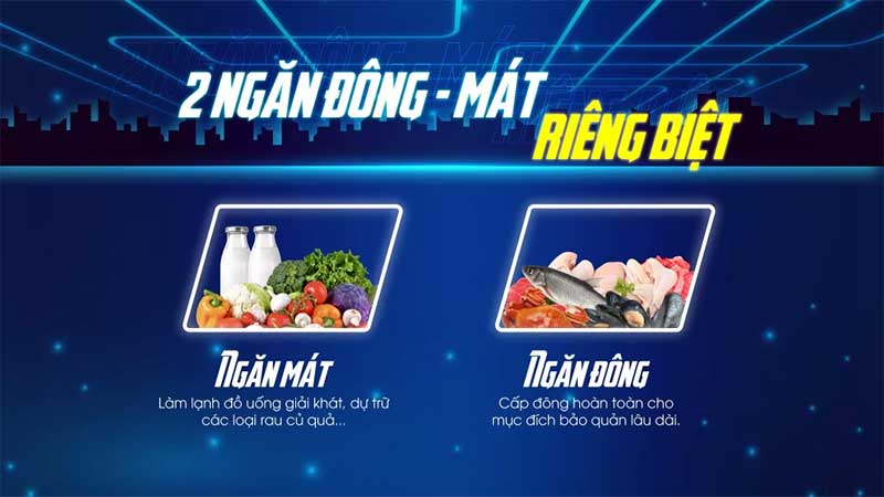 Tủ đông Sanaky VH-5699W2K