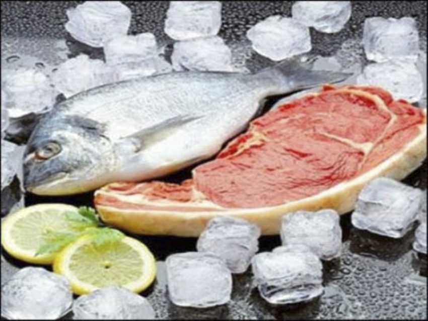 Chức năng của tủ đông Sanaky VH-6099HP