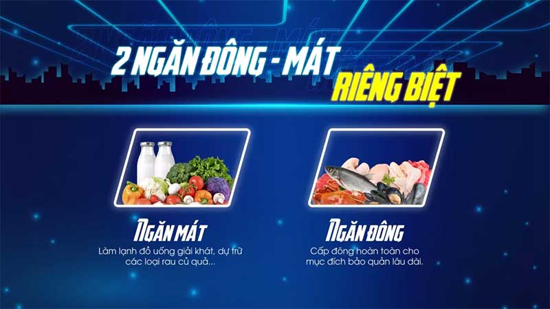 Tủ đông Sanaky VH-6699W2K