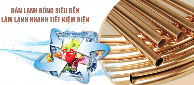 Tủ đông Sanaky VH3899K - Hàng chính hãng