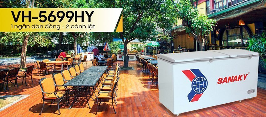 Tủ đông Sanaky VH-5699HY dàn đồng