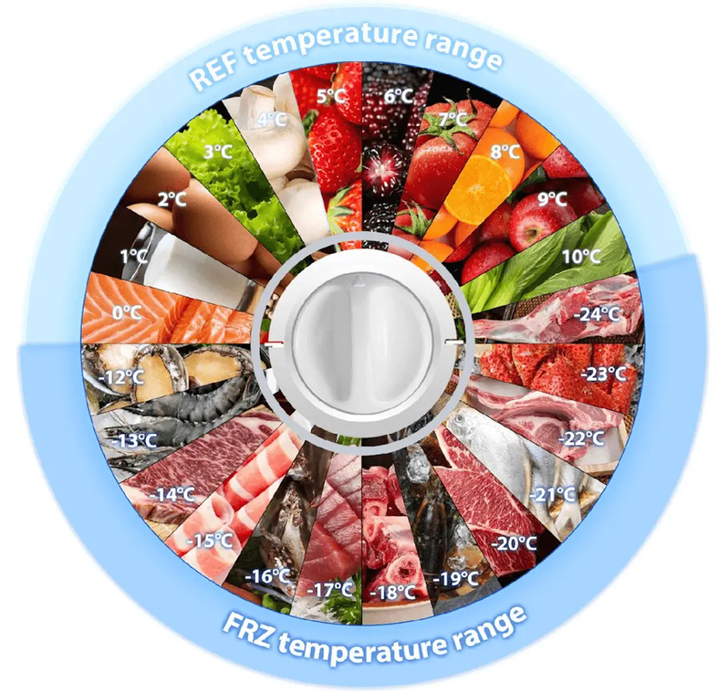 Tủ đông Toshiba GR-RC185CM-PMV(01) - Hàng chính hãng