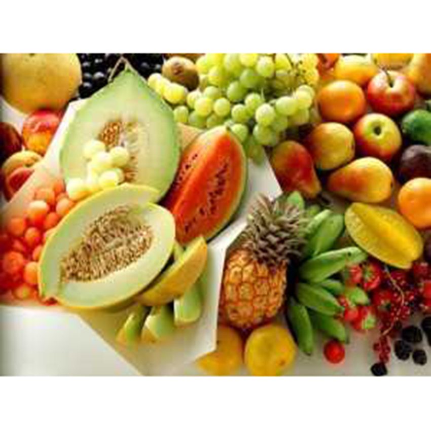 Công dụng của tủ đông Sanaky VH-1099K