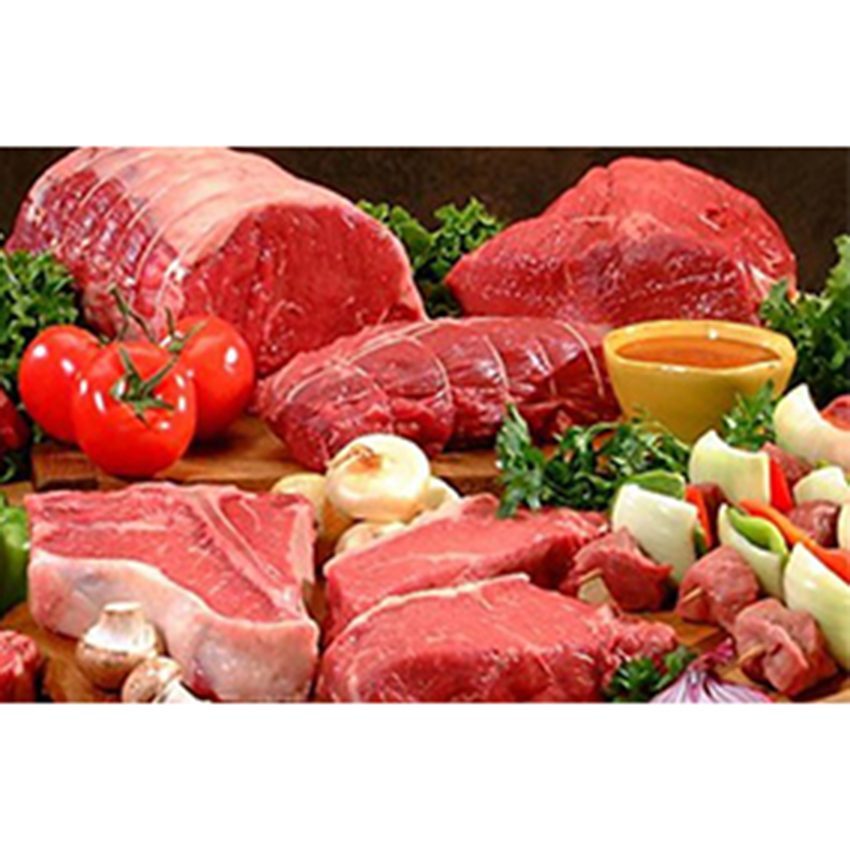 Chức năng của tủ đông Sanaky VH 3099K