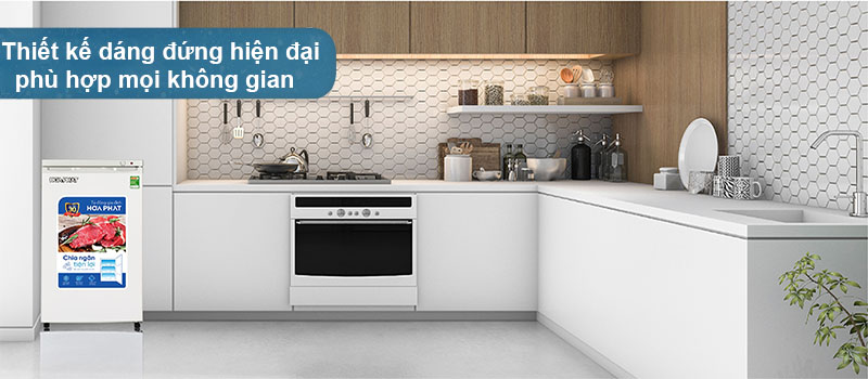 Tủ đông đứng Hòa Phát HPF-UAH6106 - Hàng chính hãng