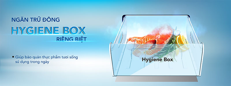 Tủ đông đứng Hòa Phát HPF-UAH6106 - Hàng chính hãng