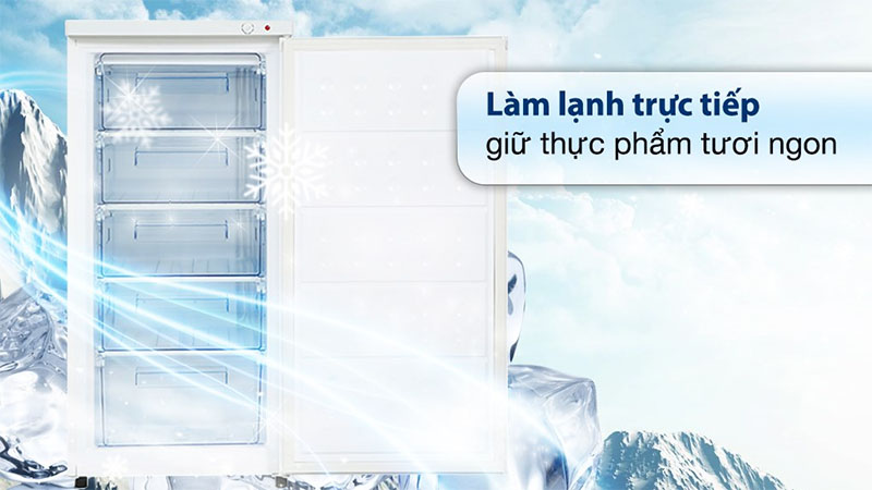 Tủ đông đứng Hòa Phát HPF-UAH6147 - Hàng chính hãng