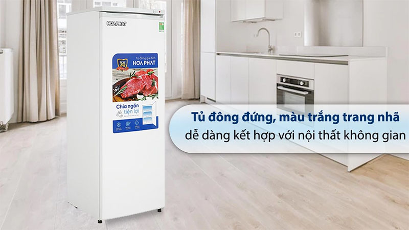 Tủ đông đứng Hòa Phát HPF-UAH6208 - Hàng chính hãng