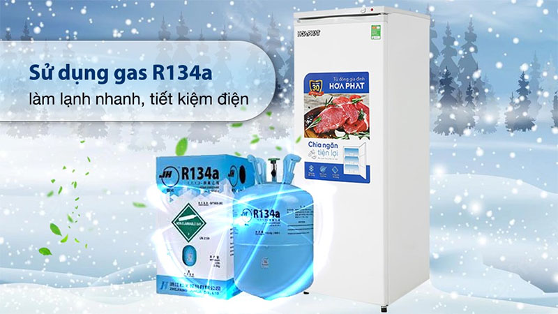 Tủ đông đứng Hòa Phát HPF-UAH6208 - Hàng chính hãng