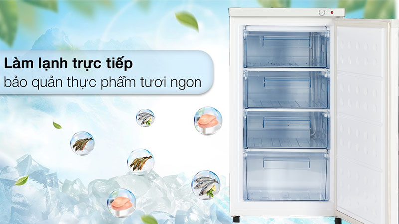 Tủ đông đứng Hòa Phát HUF-300SR1 - Hàng chính hãng